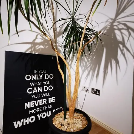 Gorgeous + Attentive Host + Free Parking * 요크